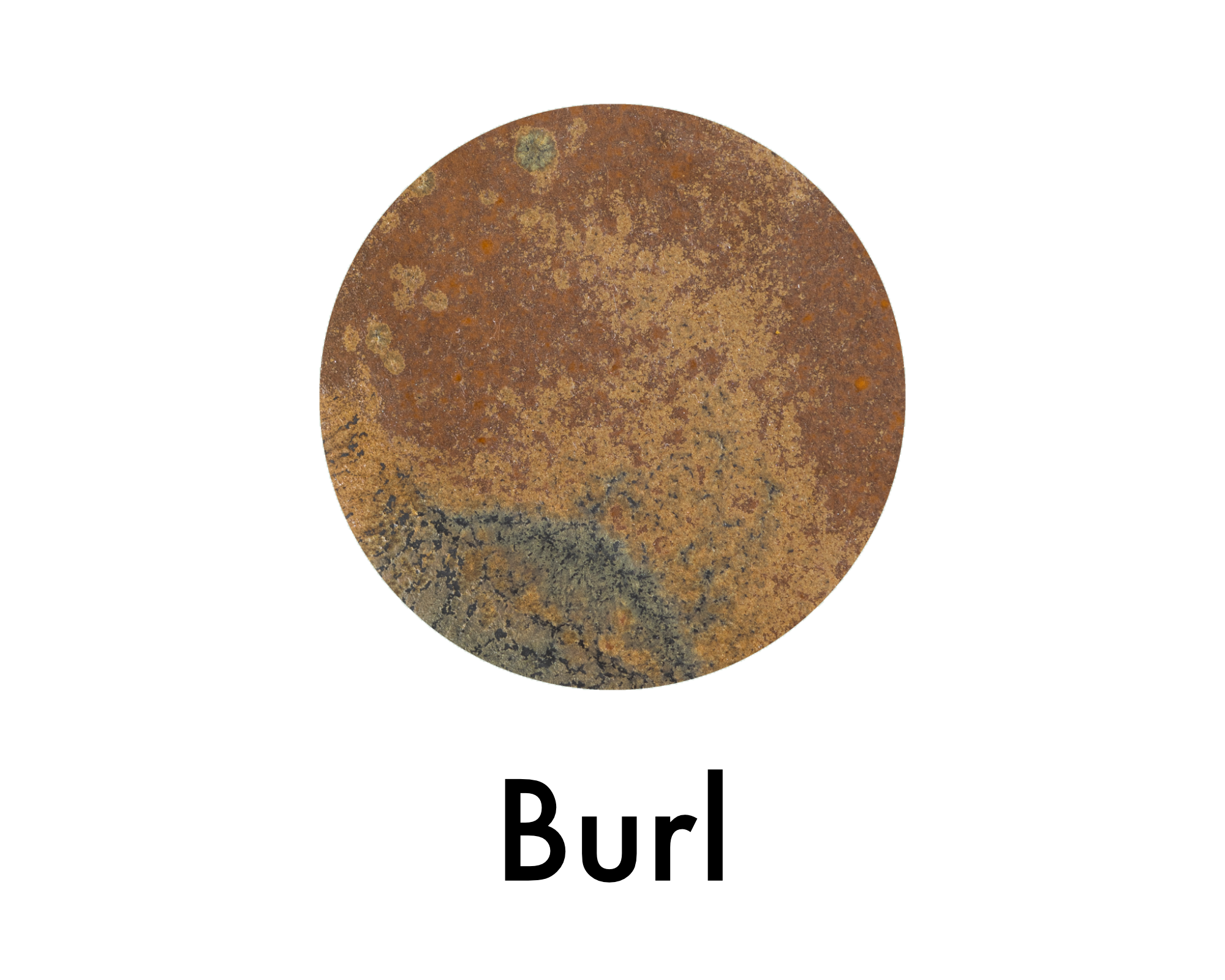 Burl