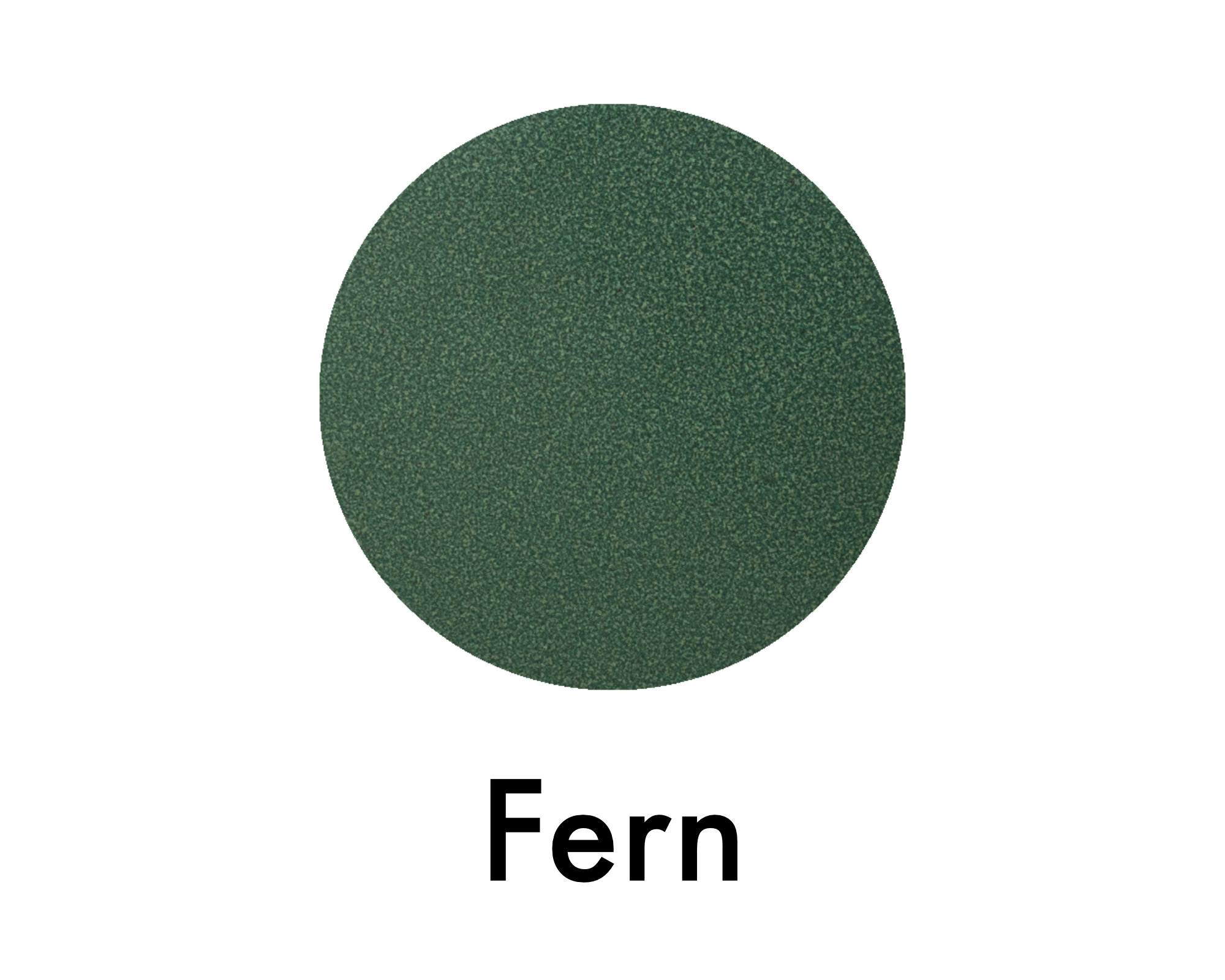 Fern